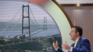 Salvini, intesa Fs a Messina conferma che ponte &egrave; strategico