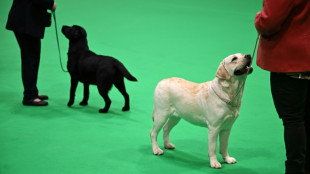 Feuerwehr rettet in M&ouml;nchengladbach Hund aus Erdloch