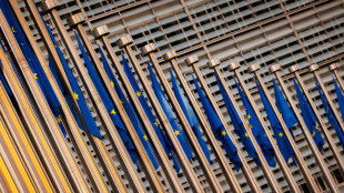 Ue accelera su migrazione, procedure veloci e Paesi sicuri