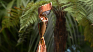 Scharfe Kritik an m&ouml;glichem Saudi-Sponsoring der Frauen-WM