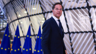 Rutte, 'la spesa Nato per la difesa sar&agrave; ben oltre il 2%'