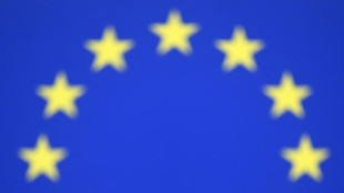 Le prix Sakharov du Parlement europ&eacute;en attribu&eacute; au "courageux" peuple ukrainien