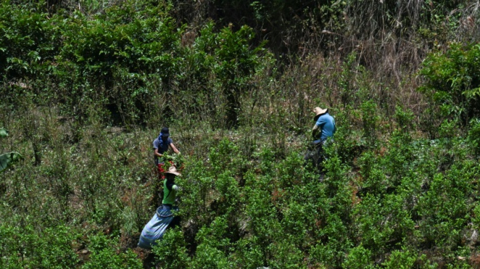 Are US strikes hurting Latin America's drug trade?