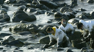 EuGH urteilt zu Haftung f&uuml;r Untergang von &Ouml;ltanker "Prestige" vor Spanien