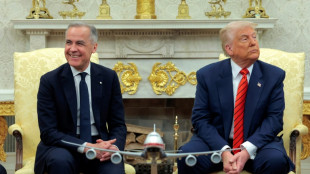 Canadian PM to visit White House to talk tariffs