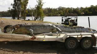 Rio habitado por crocodilos receber&aacute; remo e canoagem nos Jogos de Brisbane-2032