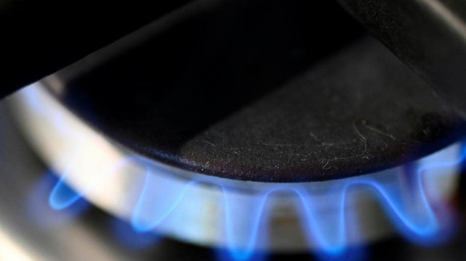 Bund pr&uuml;ft umfangreiche Ma&szlig;nahmen&nbsp;zur Senkung des Gasverbrauchs &nbsp;