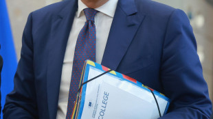 Ok dal Consiglio Ue alla revisione del Pnrr dell'Italia