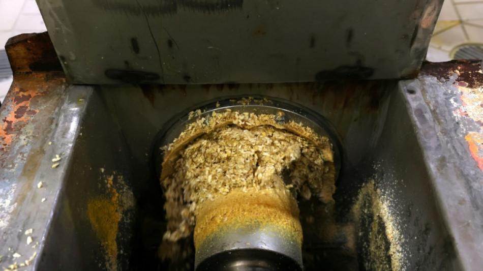 Chez Roquette, du grain de ma&iuml;s au bonbon g&eacute;lifi&eacute;, la saga de l'amidon