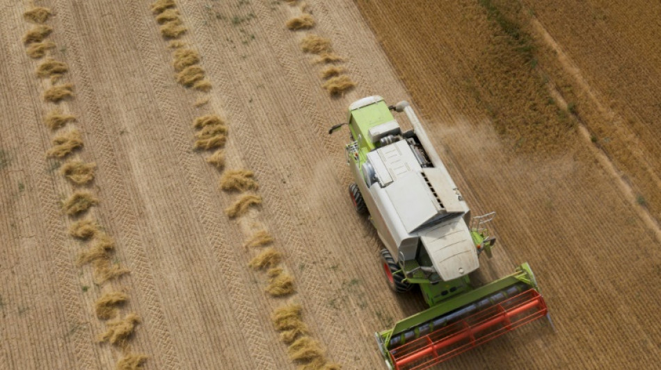 Les d&eacute;put&eacute;s LR poussent leur texte sur les retraites agricoles