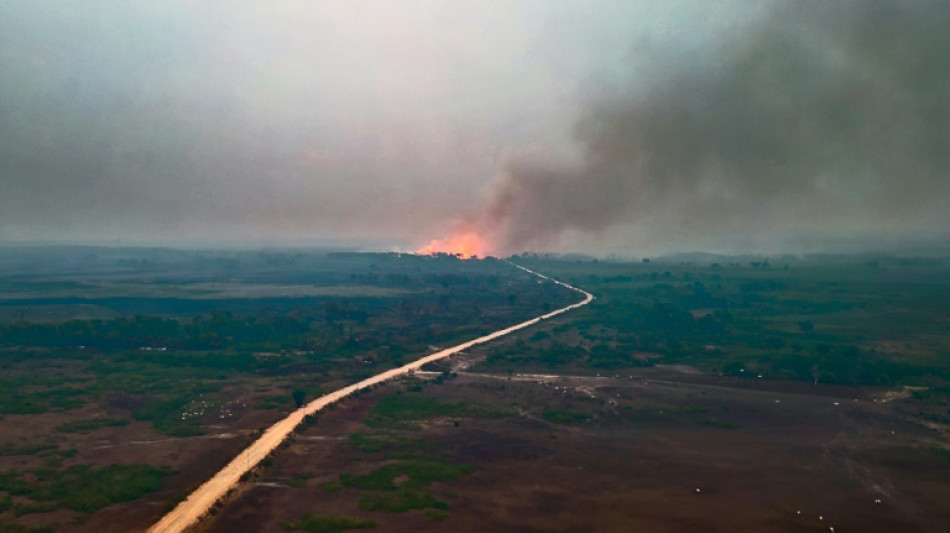 Chuvas apagam inc&ecirc;ndios no Pantanal
