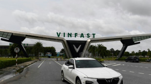 Fabricante vietnamita de carros el&eacute;tricos Vinfast quer conquistar os EUA