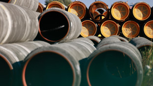 AfD vuole riaprire dossier Nord Stream, previsto forum con Usa e Russia nel 2027
