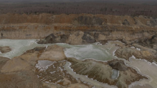 Appel Trump-Zelensky apr&egrave;s la ratification par Kiev de l'accord sur les minerais