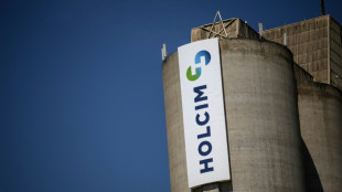 Indonesian islanders taking Swiss concrete giant to court over climate