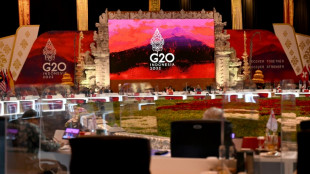 Les grands argentiers du G20 se quittent sans communiqu&eacute; apr&egrave;s des d&eacute;saccords sur l'Ukraine 