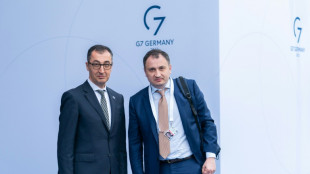 &Ouml;zdemir wirft Russland wegen Getreidekrise "widerliche Form der Kriegsf&uuml;hrung" vor