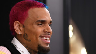 Royaume-Uni: le chanteur Chris Brown lib&eacute;r&eacute; sous caution