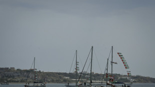 Dos activistas brasile&ntilde;o y palestino-espa&ntilde;ol de la flotilla comparecen ante un tribunal israel&iacute;