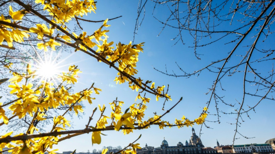 Wetterdienst: Fr&uuml;hling in Deutschland in diesem Jahr so warm wie nie zuvor