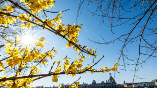 Wetterdienst: Fr&uuml;hling in Deutschland in diesem Jahr so warm wie nie zuvor
