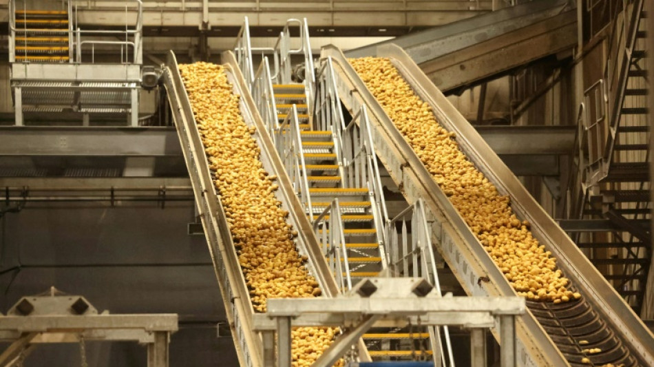 Frites surgel&eacute;es: le nord de la France, nouvel Eldorado &agrave; l'accent belge