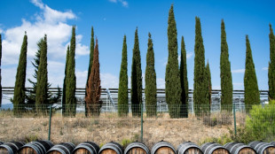 Crise du vin: les caves coopératives en première ligne