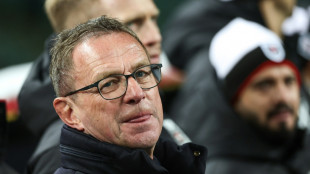 &Ouml;sterreich trotz interner Unruhen auf Aufstiegskurs 