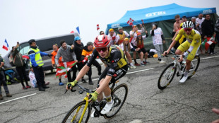 Pogacar 'ready to fight Vingegaard' for Tour de France title