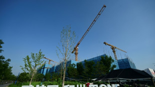 Chine: surendett&eacute;, le promoteur Country Garden s'en remet &agrave; ses cr&eacute;anciers