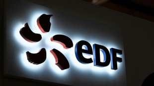L'&Eacute;tat annonce une OPA &agrave; 9,7 milliards d'euros pour renationaliser EDF