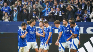 Sturm-Duo erl&ouml;st Schalke: Van Wonderen feiert Premierensieg