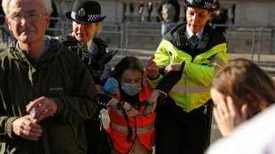 A Londres, des &eacute;cologistes s'en prennent &agrave; un tableau de Vel&aacute;zquez