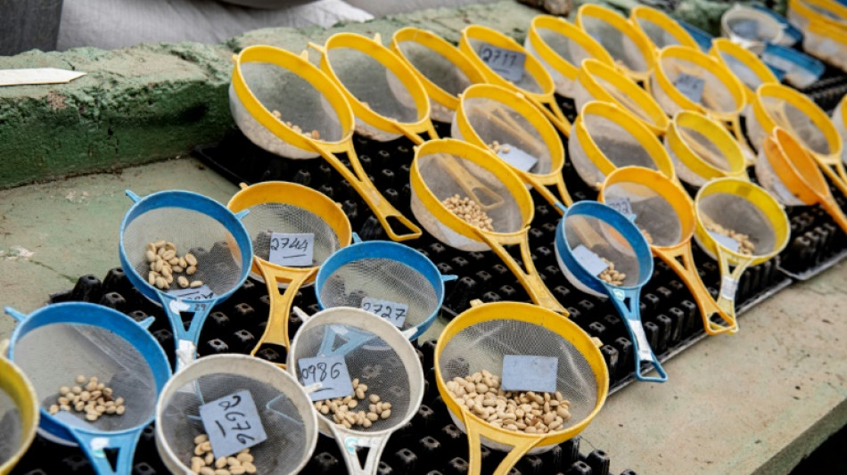 Au Costa Rica, une banque de semences pour nourrir les g&eacute;n&eacute;rations futures