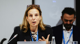 Las ciudades son el epicentro de la lucha contra el calor, dice experta de la ONU