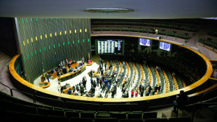 El Congreso de Brasil aprueba una ley para aumentar la protecci&oacute;n de los menores en internet