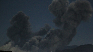 Rebeldes houthis do I&ecirc;men amea&ccedil;am responder ap&oacute;s bombardeios americanos