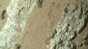 Des roches tachetées offrent les plus sérieux indices d'une ancienne forme de vie sur Mars