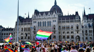 Des eurod&eacute;put&eacute;s appellent &agrave; geler tous les fonds destin&eacute;s &agrave; la Hongrie