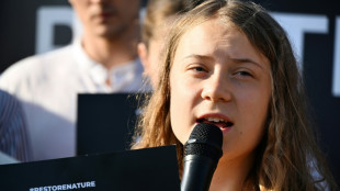 En Suède, Greta Thunberg jugée pour refus d'obtempérer