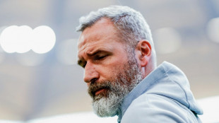 Hamburg nach Pleite in Stuttgart: Die Hoffnung hei&szlig;t Volkspark