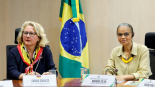 Alemania lista para "contribuir" con nuevos fondos para preservar la Amazon&iacute;a