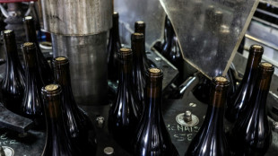 'In vino veritas': informa&ccedil;&atilde;o sobre ingredientes do vinho causa pol&ecirc;mica na Europa