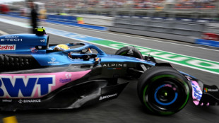 Cons&oacute;rcio americano compra 24% da Alpine