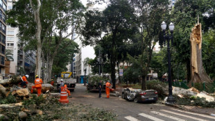 De la bruine aux temp&ecirc;tes: la m&eacute;galopole Sao Paulo chamboul&eacute;e par le changement climatique