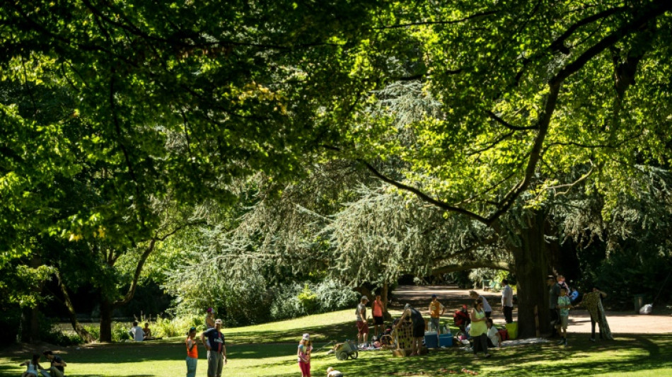 Plus de verdure, moins de pollution: en ville, la recette pour une meilleure sant&eacute;
