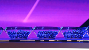 Europacup: Hybrid aus manueller und automatischer Auslosung