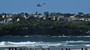 Un surfeur tu&eacute; par un "grand requin" en Australie