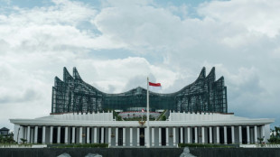 Indon&eacute;sie: Nusantara, un projet capital qui tarde &agrave; se concr&eacute;tiser