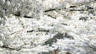 Roaming-Geb&uuml;hren in der EU bleiben bis 2032 ausgesetzt